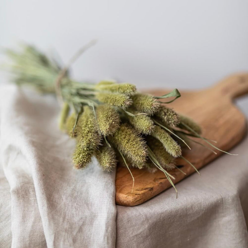setaire-naturel-botte-fleurs-sechees