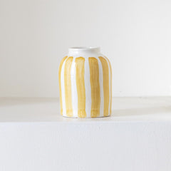 Yellow striped soliflore