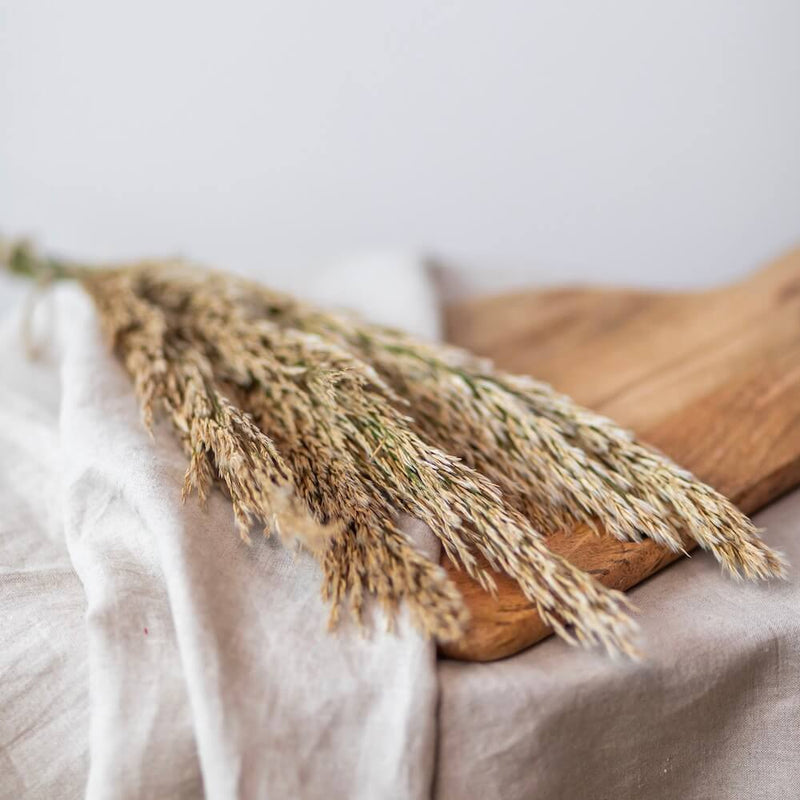 botte-fleurs-sechees-pampa-flowrette