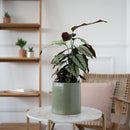 Cache-pot Céramique kaki